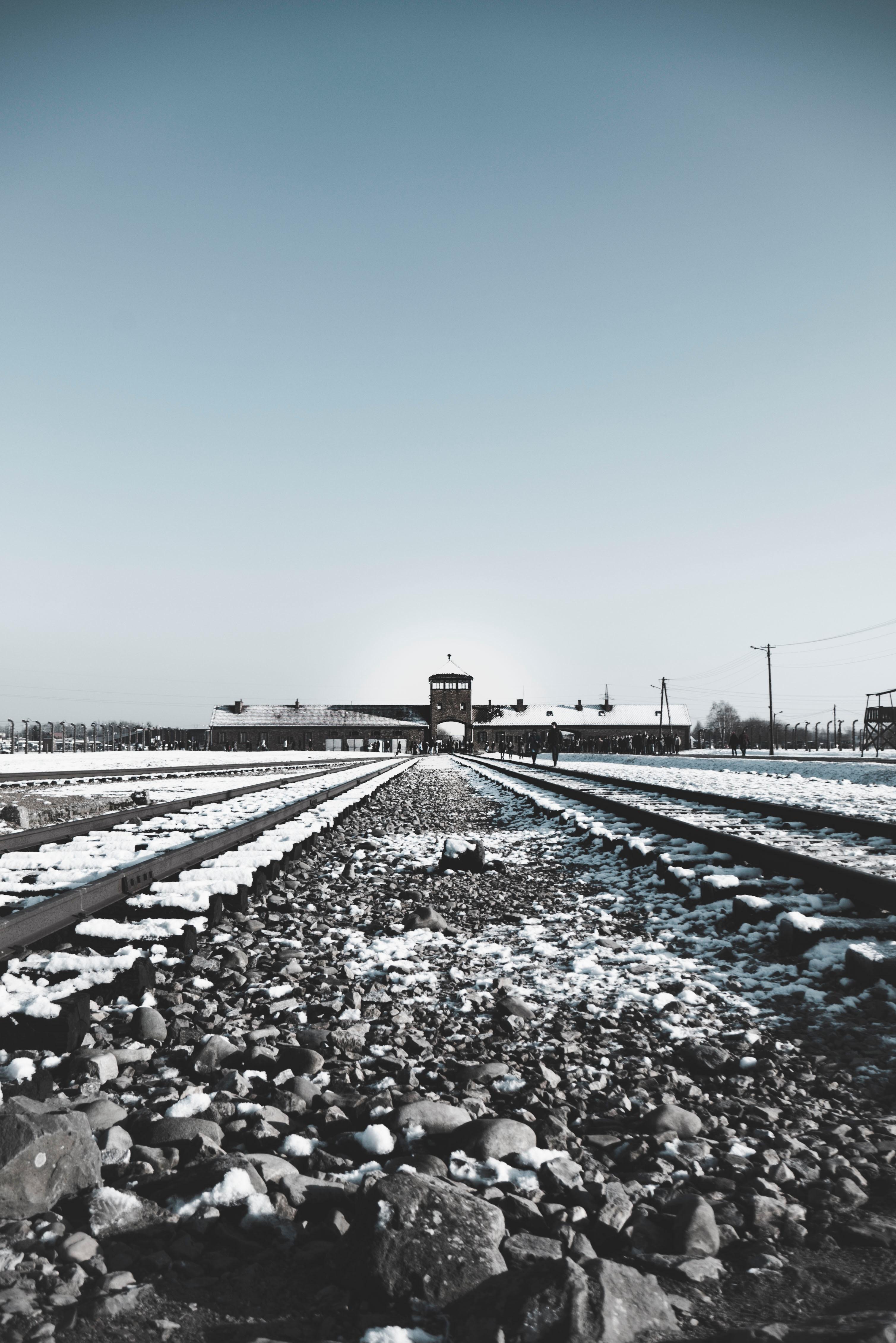 Auschwitz: Investigación sobre un complot nazi, de Florent Brayard (Editorial Arpa)