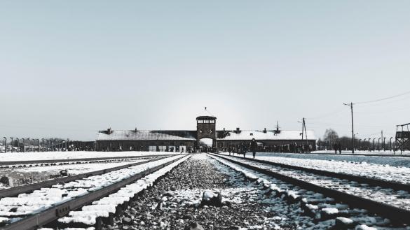 Auschwitz: Investigación sobre un complot nazi, de Florent Brayard (Editorial Arpa)