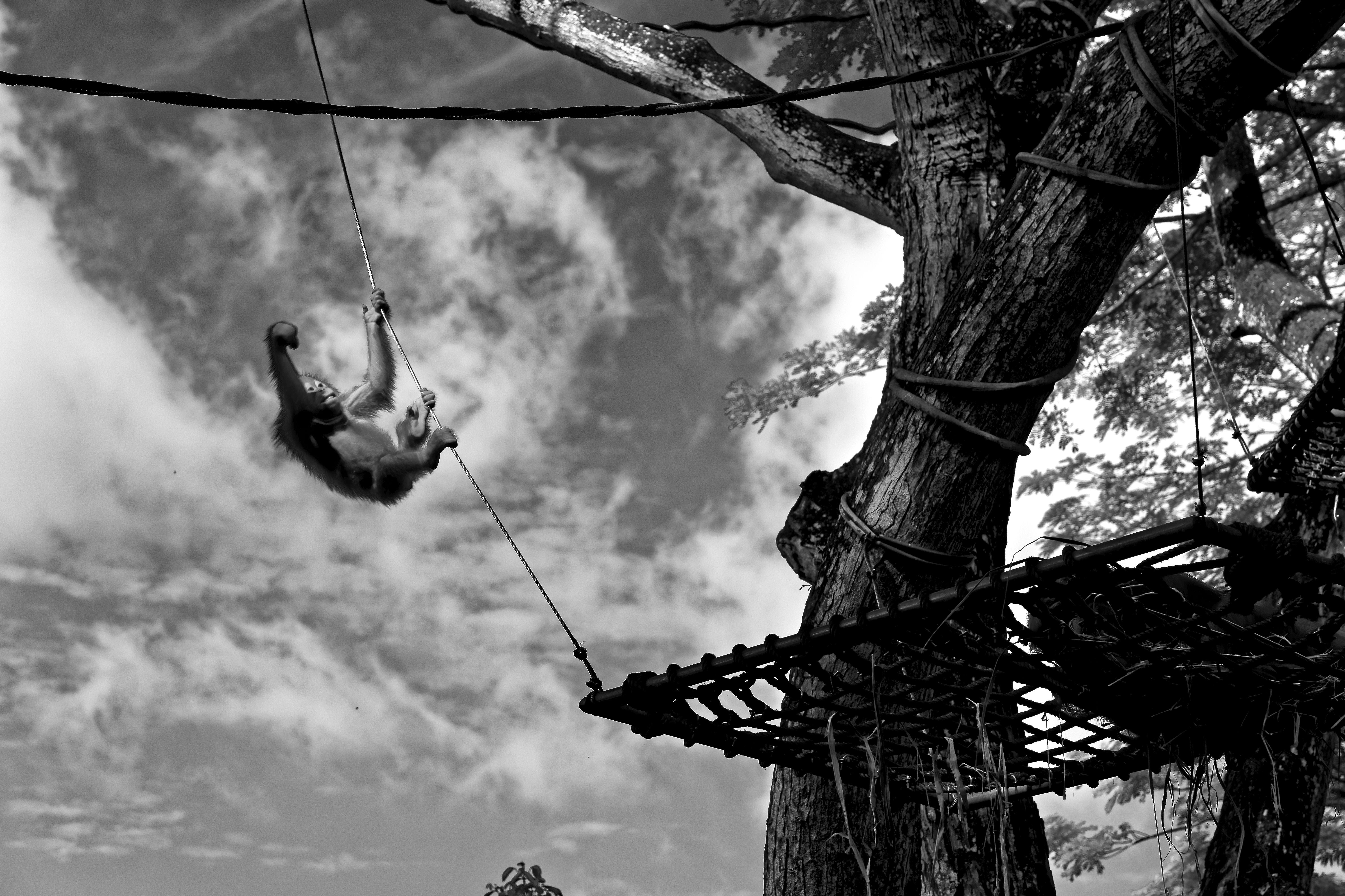 Warner para Unsplash Warner para Unsplash