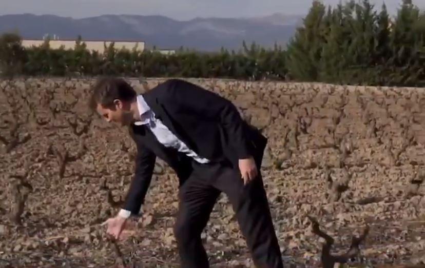 Pablo Casado, en un campo de vid para pedir el voto a los españoles en el extranjero