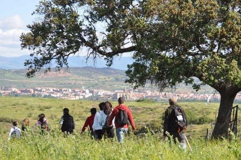 Rutas senderistas en la Dehesa de la comarca del Valle del Alagón. EP