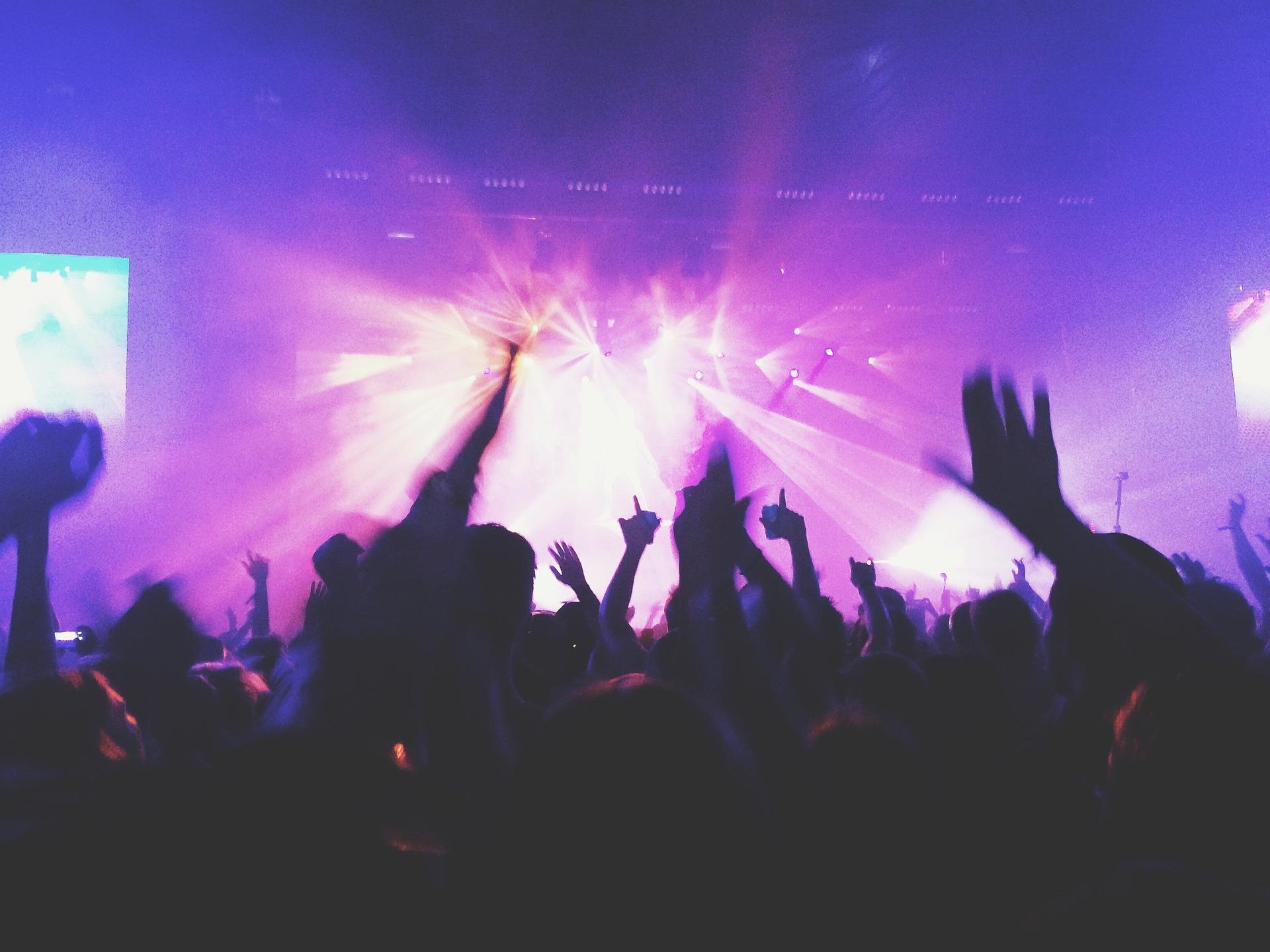 Gente en un concierto de rock. Fuente: Pixabay.