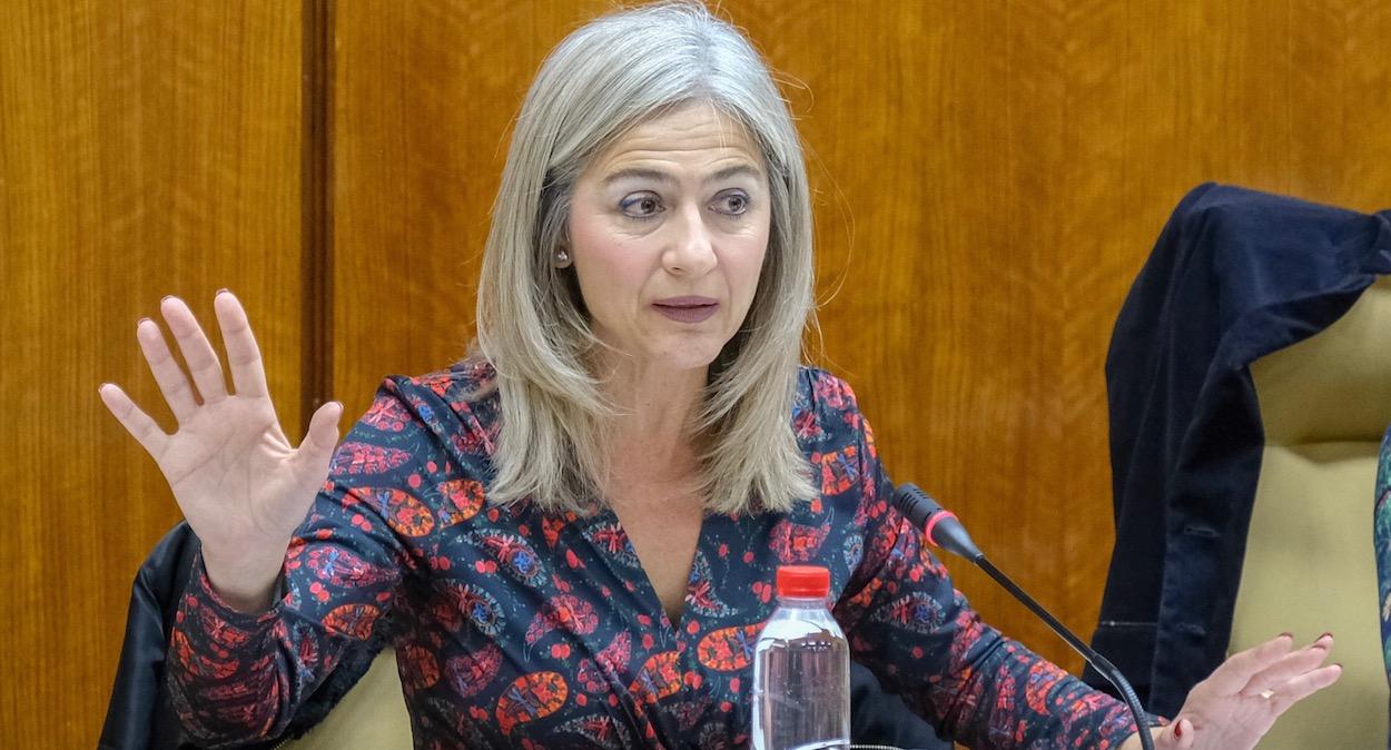 Patricia del Pozo, en una comparecencia de la Comisión de Cultura. PARLAMENTO DE ANDALUCÍA