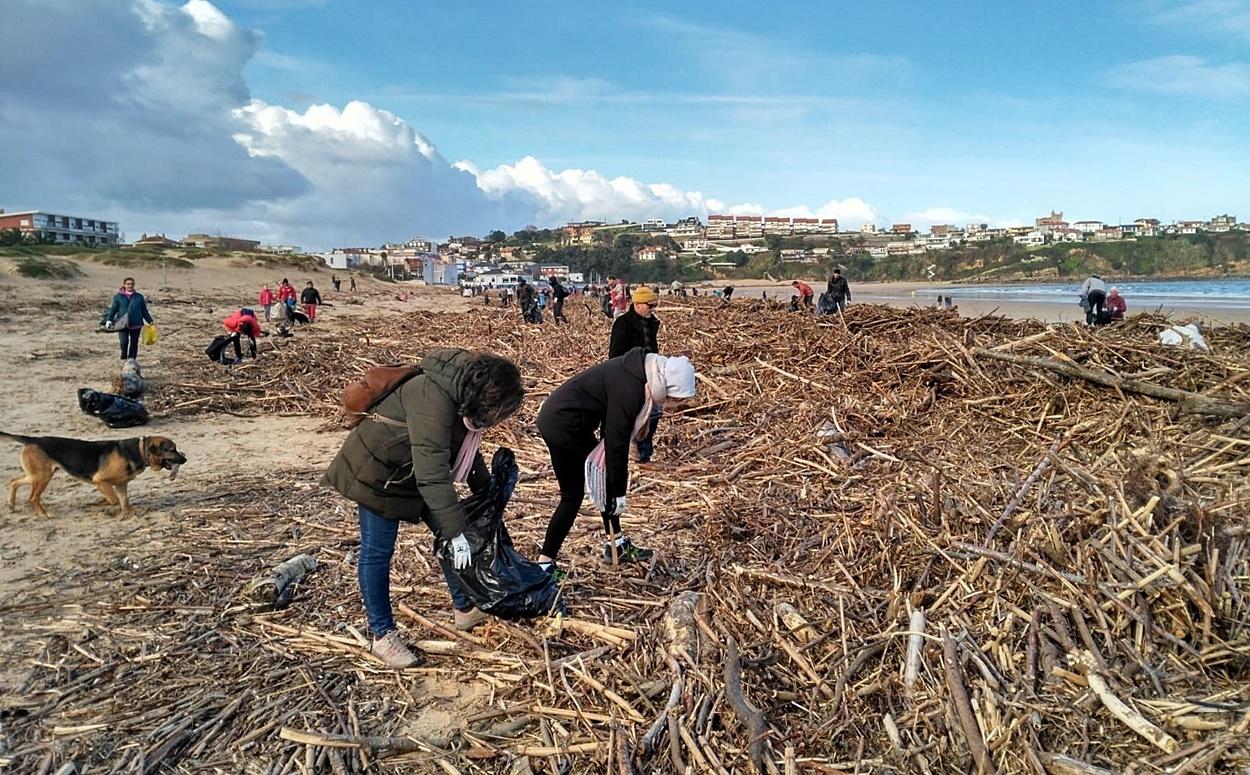 El reto Trashtag Challenge propone la eliminación de basuras de playas, en la imagen una jornada de limpieza en la playa de Suances celebrada en febrero pasado (Foto: Europa Press).