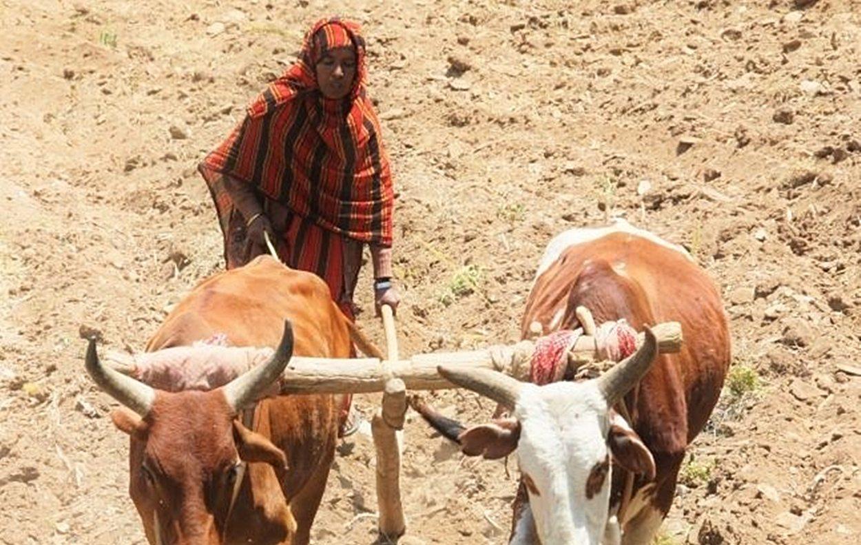 La superación de la pobreza en los continentes africano y asiático es fundamental de cara al futuro. (Foto: Europa Press)