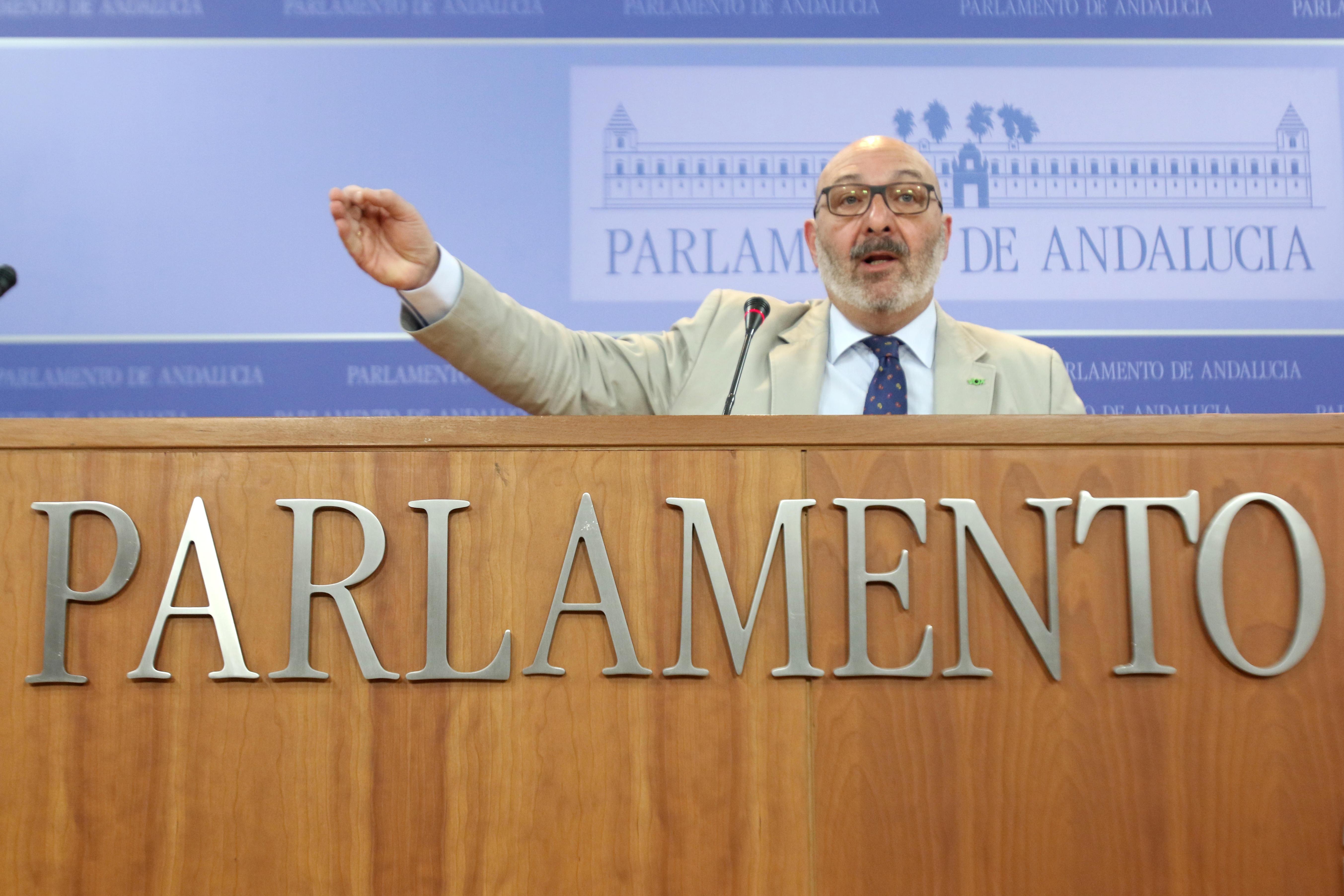 Rueda de prensa del portavoz parlamentario de Vox Andalucía, Alejandro Hernández. Europa Press.