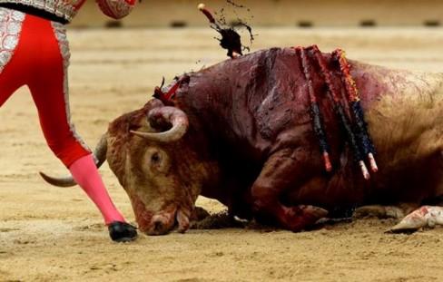 Corrida de toros