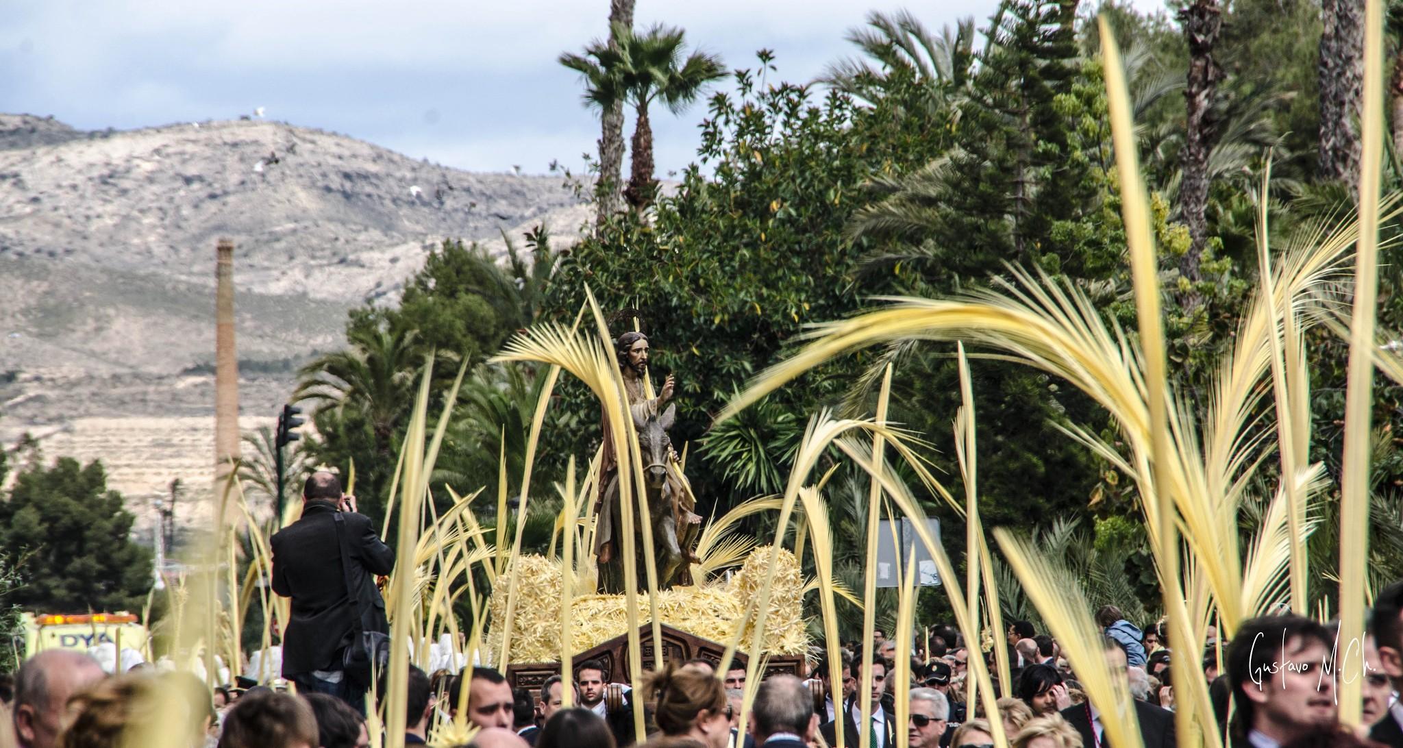 Domingo de Ramos en la ciudad alicantina de Elche.