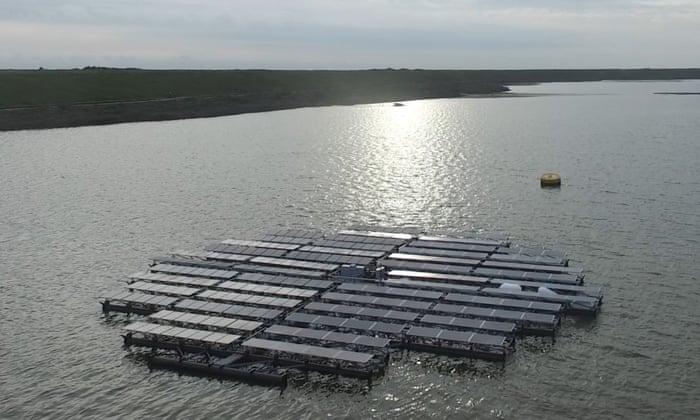 Planta solar flotante en Holanda. Foto: Floating Solar