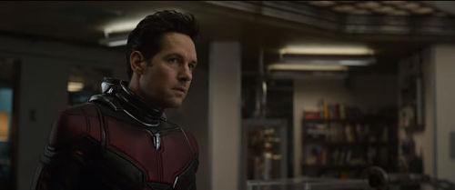 ant man endgame opt