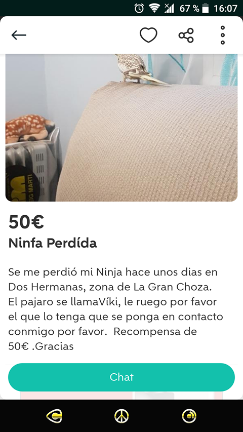 Ninfa perdida