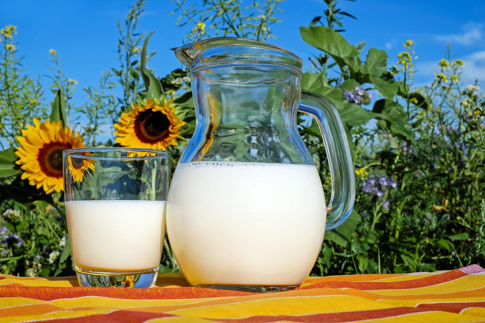 Jarra y vaso de leche de una merienda.