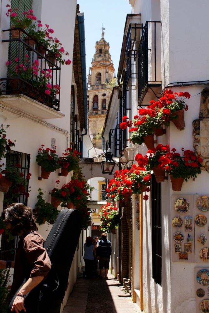 La calleja de las Flores de Córdoba, ubicada al final de la calle Velázquez Bosco, es una de las vías más populares del país, muy estrecha y peatonal que termina en una plaza.