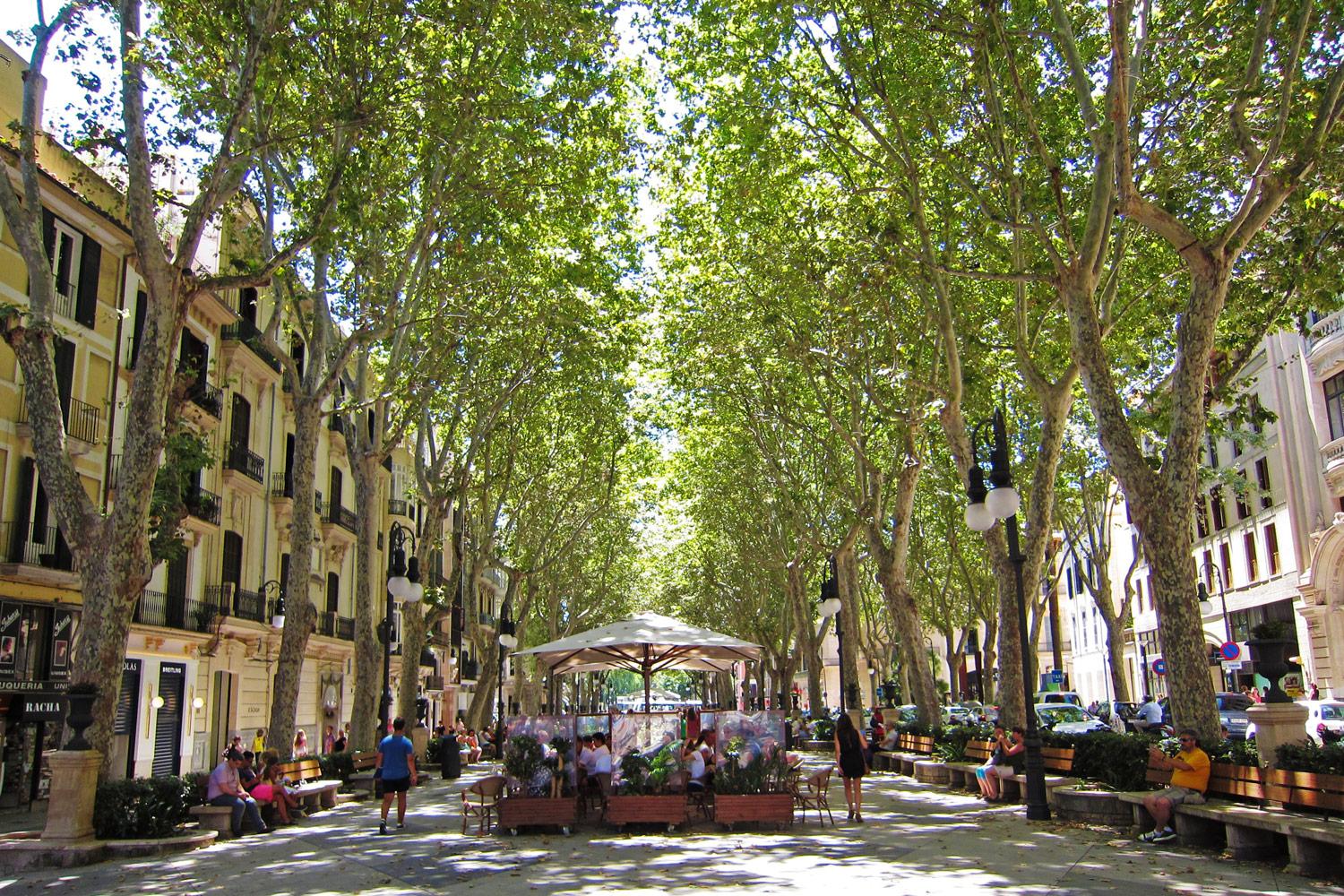 El Paseo del Borne, en Palma de Mallorca