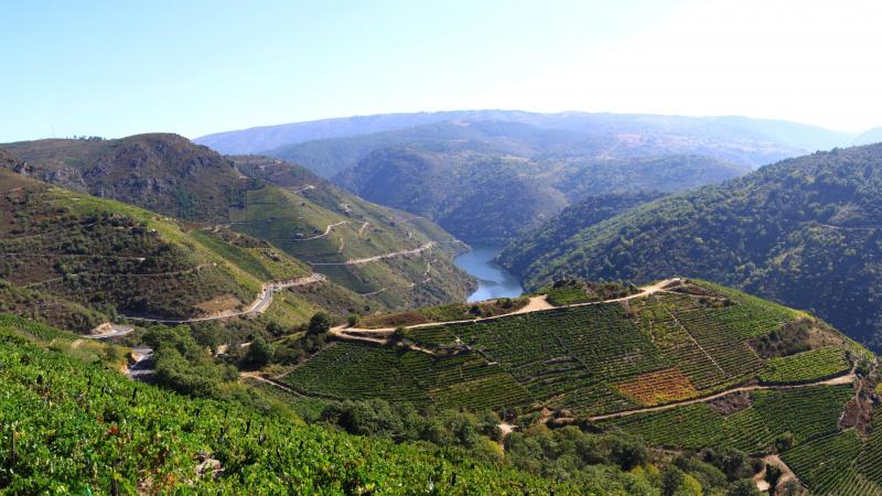 Ribeira Sacra (wikipedia)