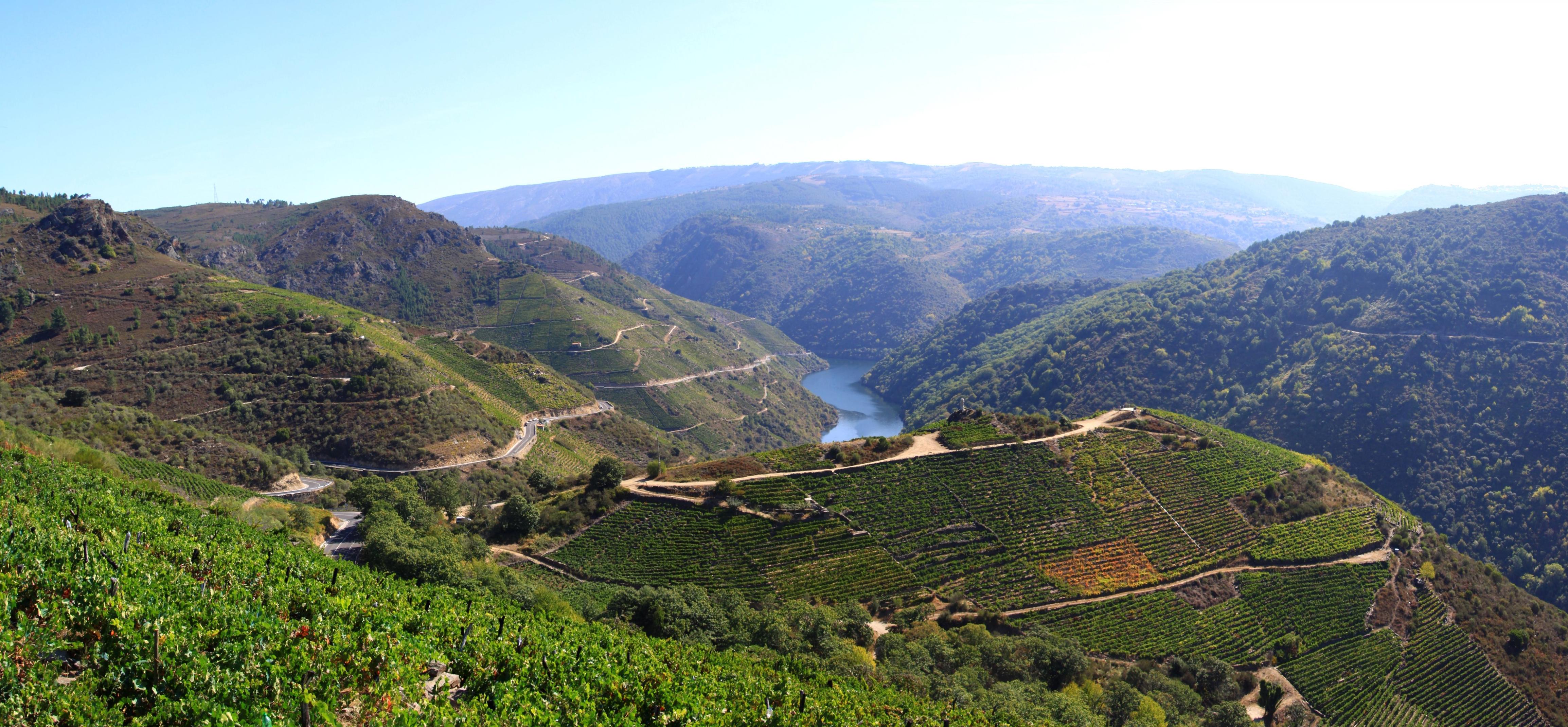 Ribeira Sacra (wikipedia)