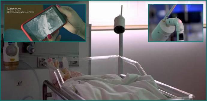 Las webcams ofrecen imagen del bebé en tiempo real, las 24 horas del día. 