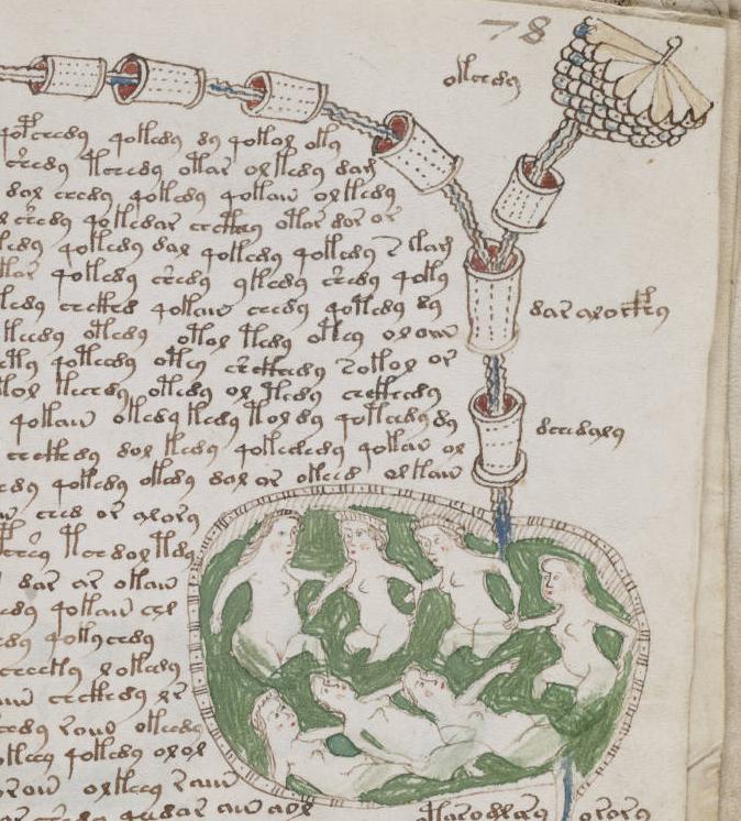 Una de las páginas del Códice Voynich. Foto: Tomhannen