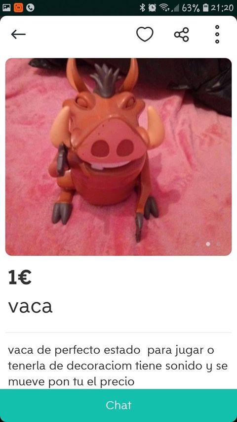 Vaquita Vaquita