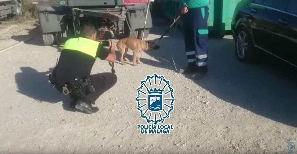 Málaga policía local perro capturado por atacar a un hombre polígono santa teresa (Europa Press)