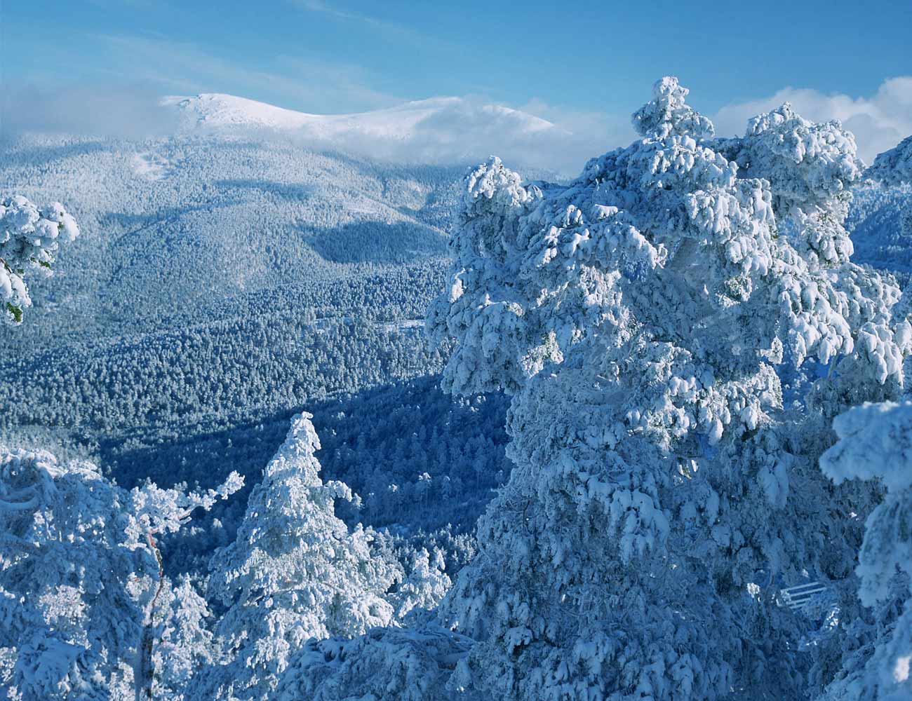 Parque Nacional Sierra Guadarrama El parque nacional de la Sierra de Guadarrama, área protegida de Madrid y Segovia, el segundo más visitado 