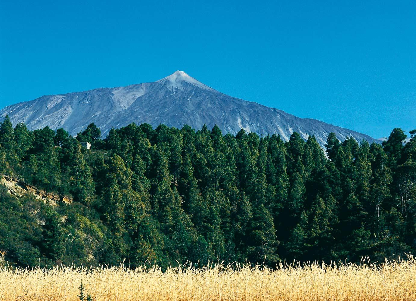 Parque Nacional Teide Tenerife ocupa la zona más alta de la isla y es Patrimonio de la Humanidad