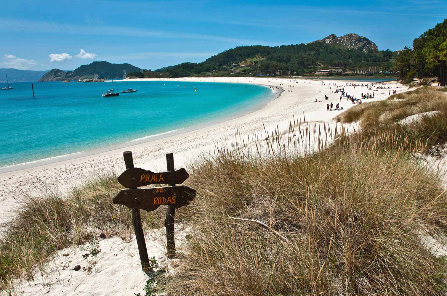 La Playa Rodas Islas Cíes hace una media luna de arena blanca y aguas azules y verdes 