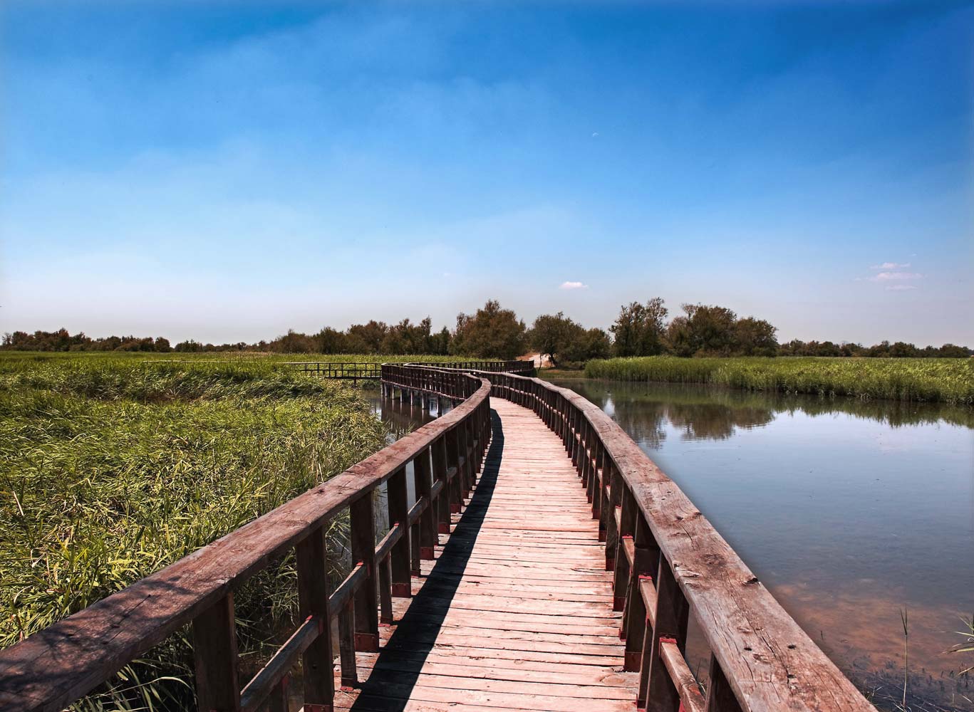 Tablas de Daimiel se encuentra en los términos de Daimiel y Villarrubia de los Ojos, en la provincia de Ciudad Real