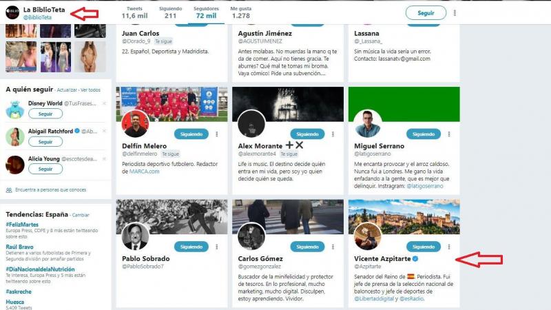 Seguidores del perfil del Twitter @Biblioteta al que sigue el senador del PP, Vicente Azpitarte.