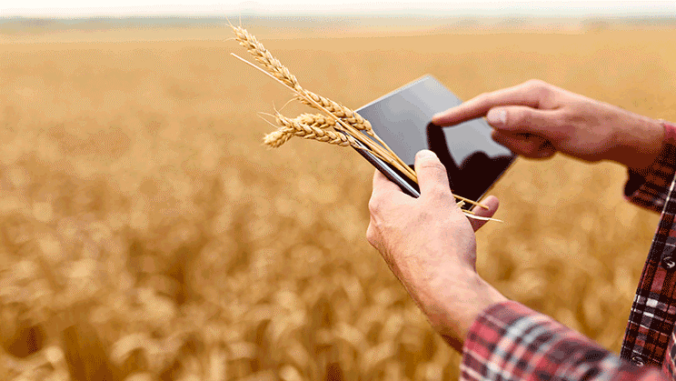Un agricultor con una tablet