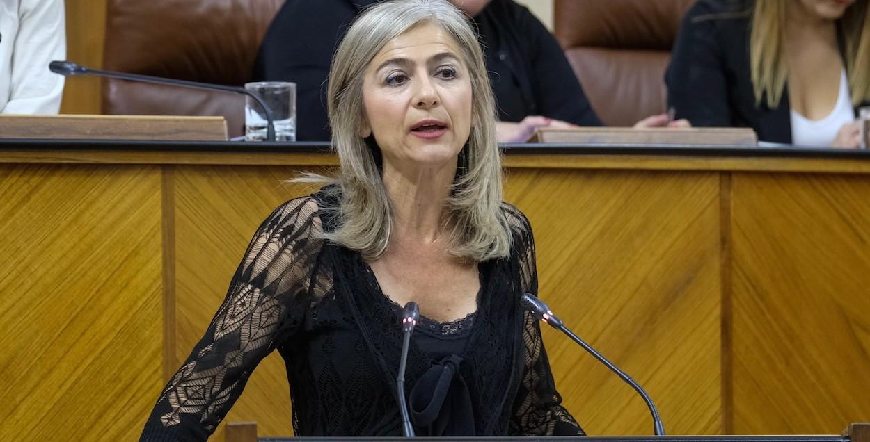 La consejera de Cultura y Patrimonio, Patricia del Pozo, hoy en el Parlamento.