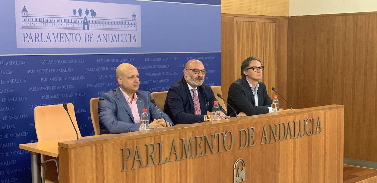 El tuit de Manuel Gavira, rebotado en la cuenta de Vox Andalucía, descalifica las informaciones sobre la reprobación unánime de la Mesa del Parlamento al diputado Alonso