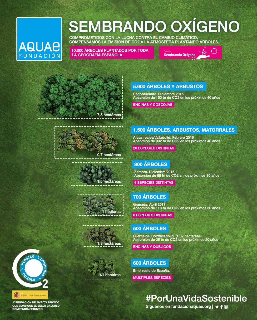 Infografía 'Sembrando O2' Fundacion Aquae Infografía 'Sembrando O2' Fundacion Aquae