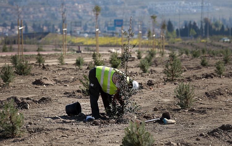 Fundación Aquae puso en marcha en 2015 ‘Sembrando O2’, con el cual ha llevado un trabajo de reducción y compensación de las emisiones de CO2 con un proyecto de reforestación y plantación de árboles