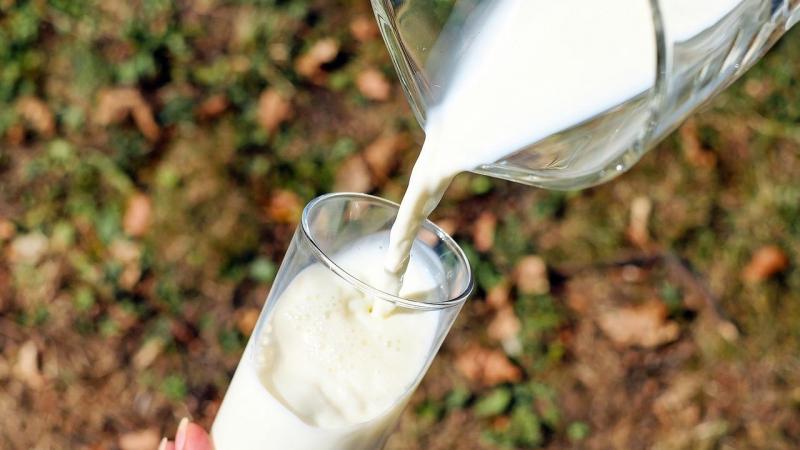 Jarra y vaso de leche - Fuente: Pixabay