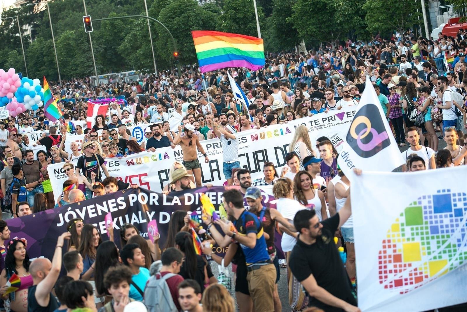 Manifestación del Orgullo LGTBI en Madrid el año pasado. Fuente: Archivo.