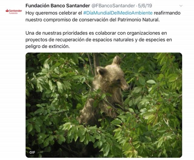 Tuit de Banco Santander en el Día Mundial del Medio Ambiente