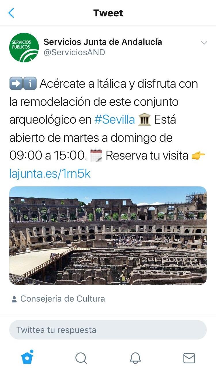 junta coliseo