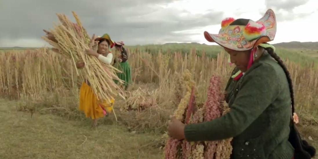 Captura del documental 'Sembradoras de vida'.