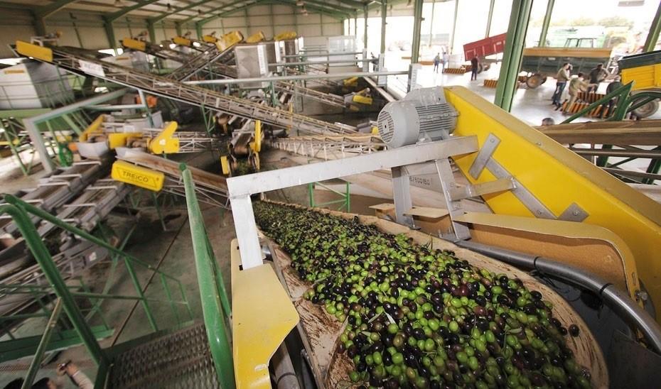 Una almazara en pleno proceso de producción del aceite de oliva - Junta de Andalucía