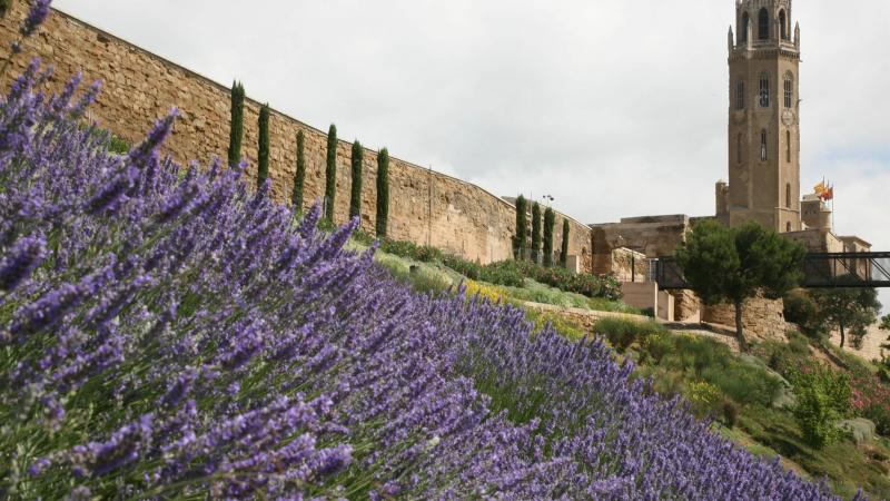 EuropaPress 1993634 Turó de la Seu Vella el conjunto monumental de Lérida que se presenta como Patrimonio Mundial de la UNESCO 