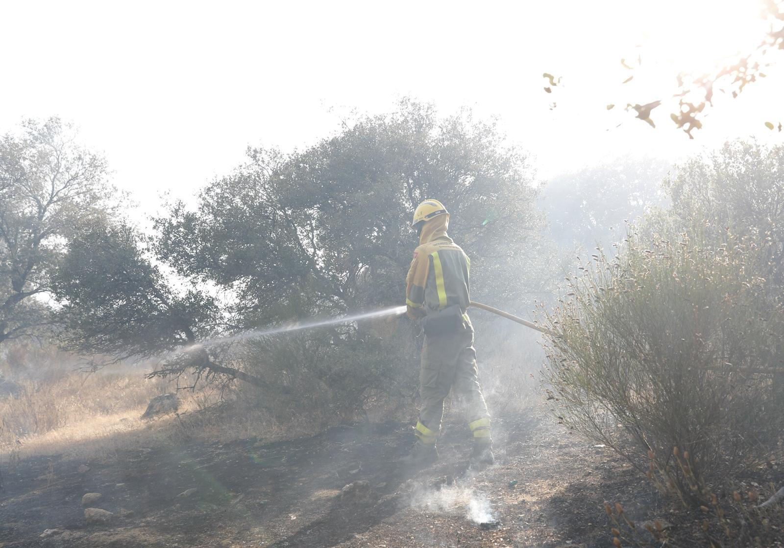 Un bombero en medio de las llamas. En el municipio de Cenicientos los focos están bastante activos, mientras que de Cadalso a Villa del Prado, las llamas están bastante controladas.