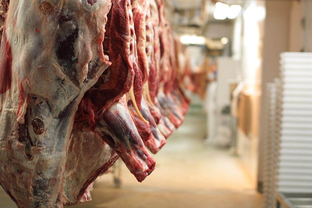 Canales en un matadero. Foto: Thomas Bjorkan