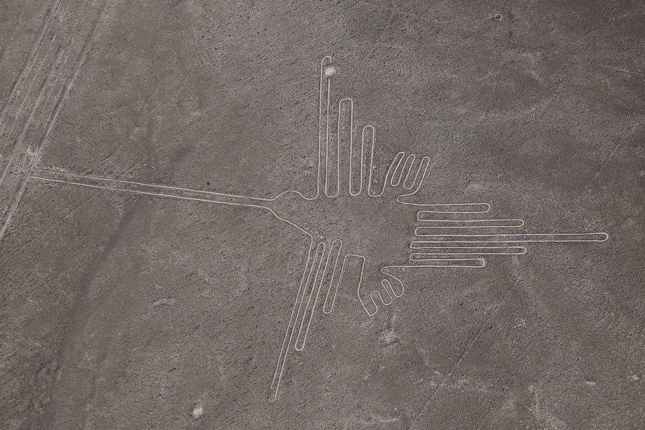 El conocido hasta ahora como Colibrí de Nazca. Foto: François Bianco