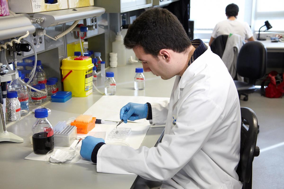 Los apósitos para curar heridas de Dermoglass son uno de los proyectos de investigación biomédica financiados en el programa piloto