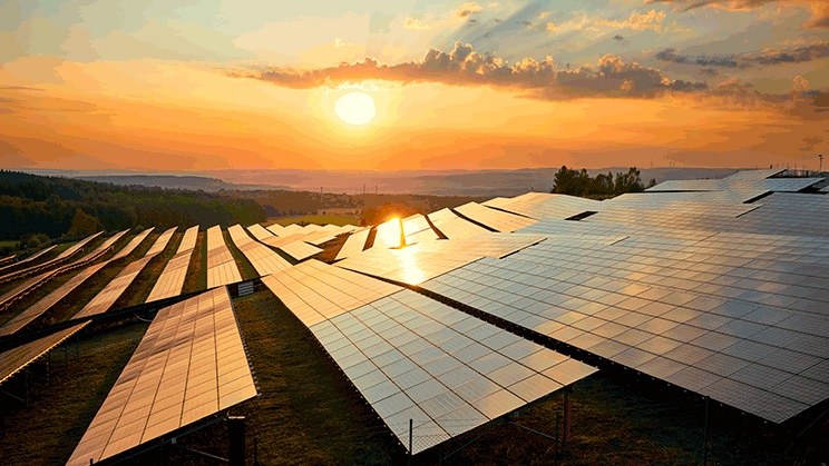 El autoconsumo energético es la clave para ayudar al desarrollo de la economía agraria próspera y sostenible