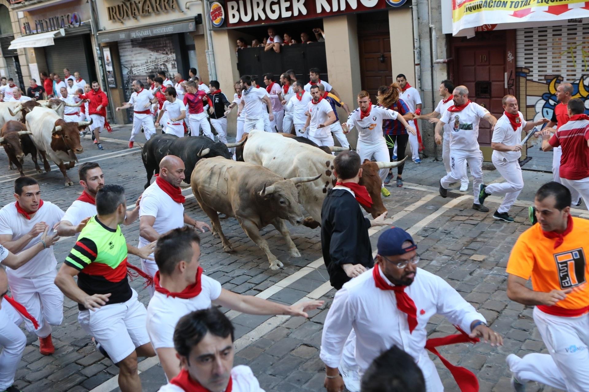 Imagen de un encierro de Sanfermines de 2019 con toros de Núñez del Cuvillo 