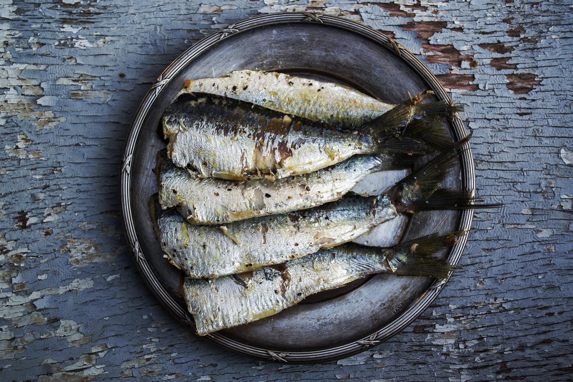 Un plato de sardinas (Pixabay)