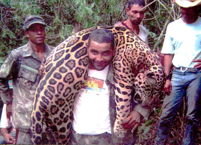 Un guardia lleva un cadáver de jaguar intervenido a los detenidos. Foto: MPF AC