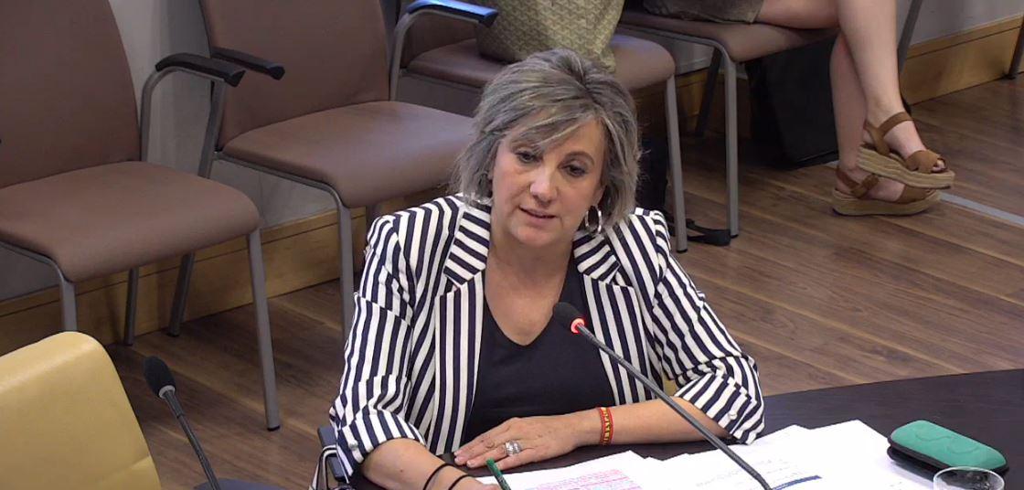 Arántzazu Cabello, portavoz de Vox en la comisión de Igualdad del Ayuntamiento de Madrid